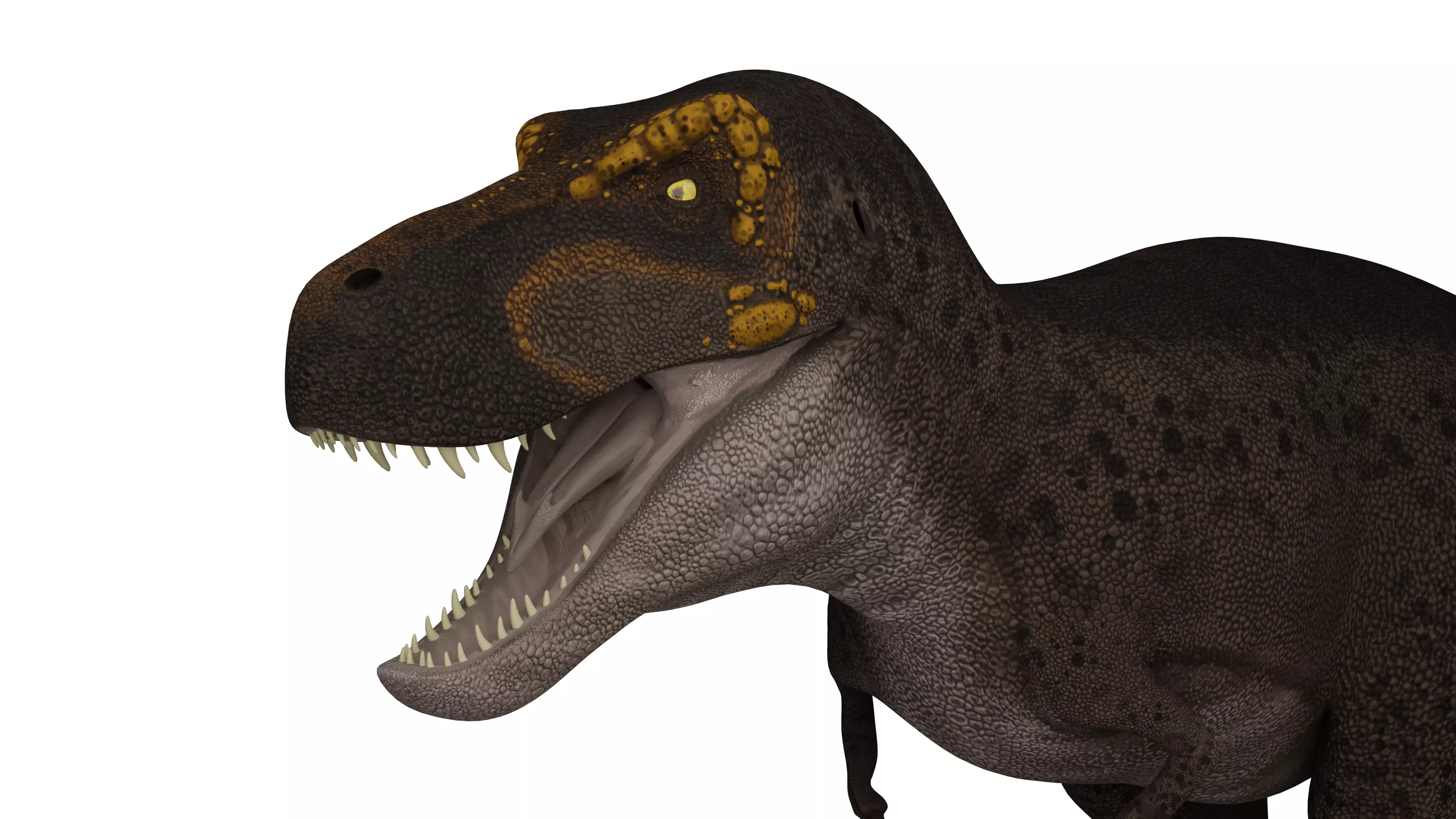 Tyrannosaurus rex Low-poly 3D model_0