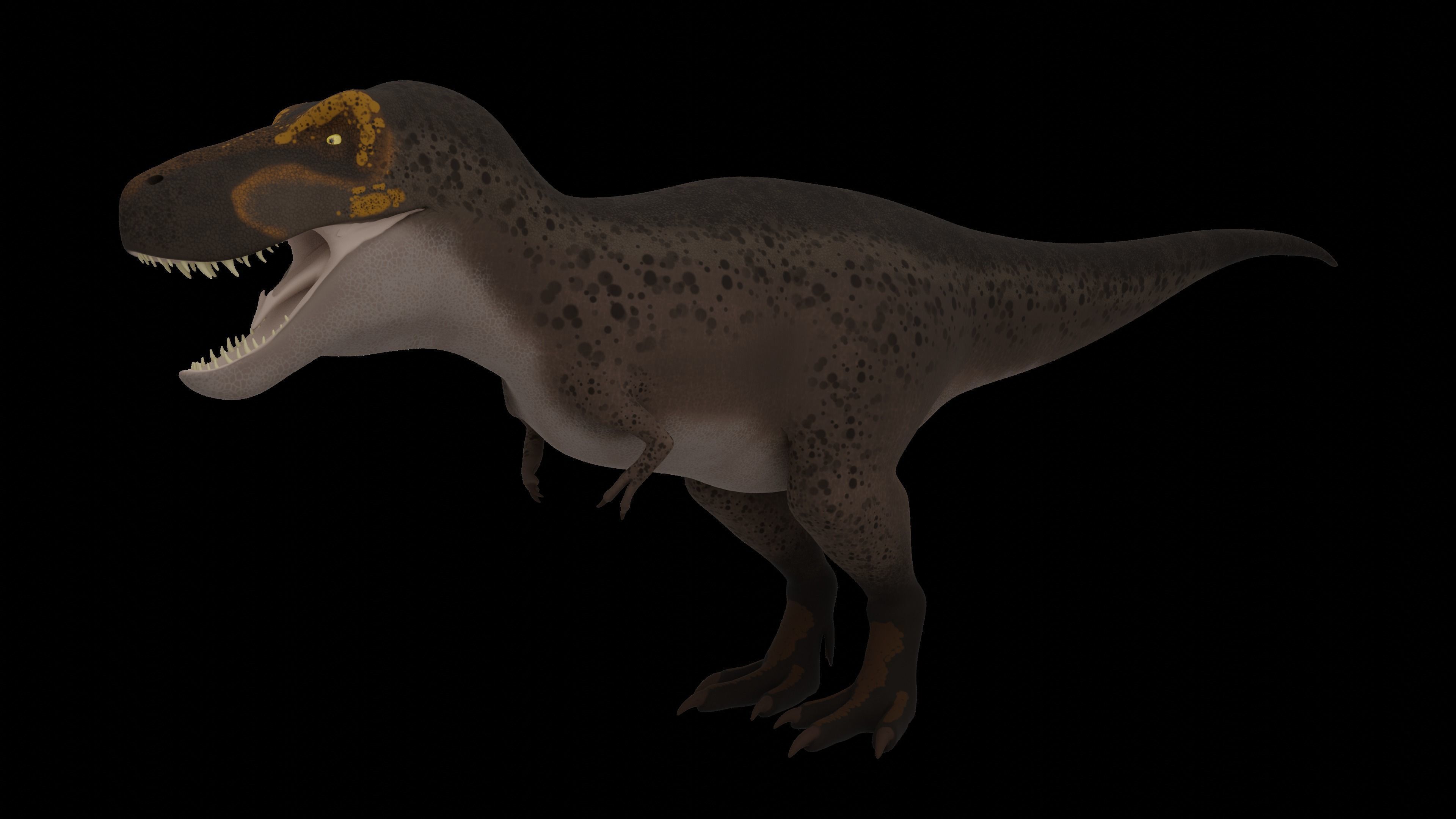 Tyrannosaurus rex Low-poly 3D model_6