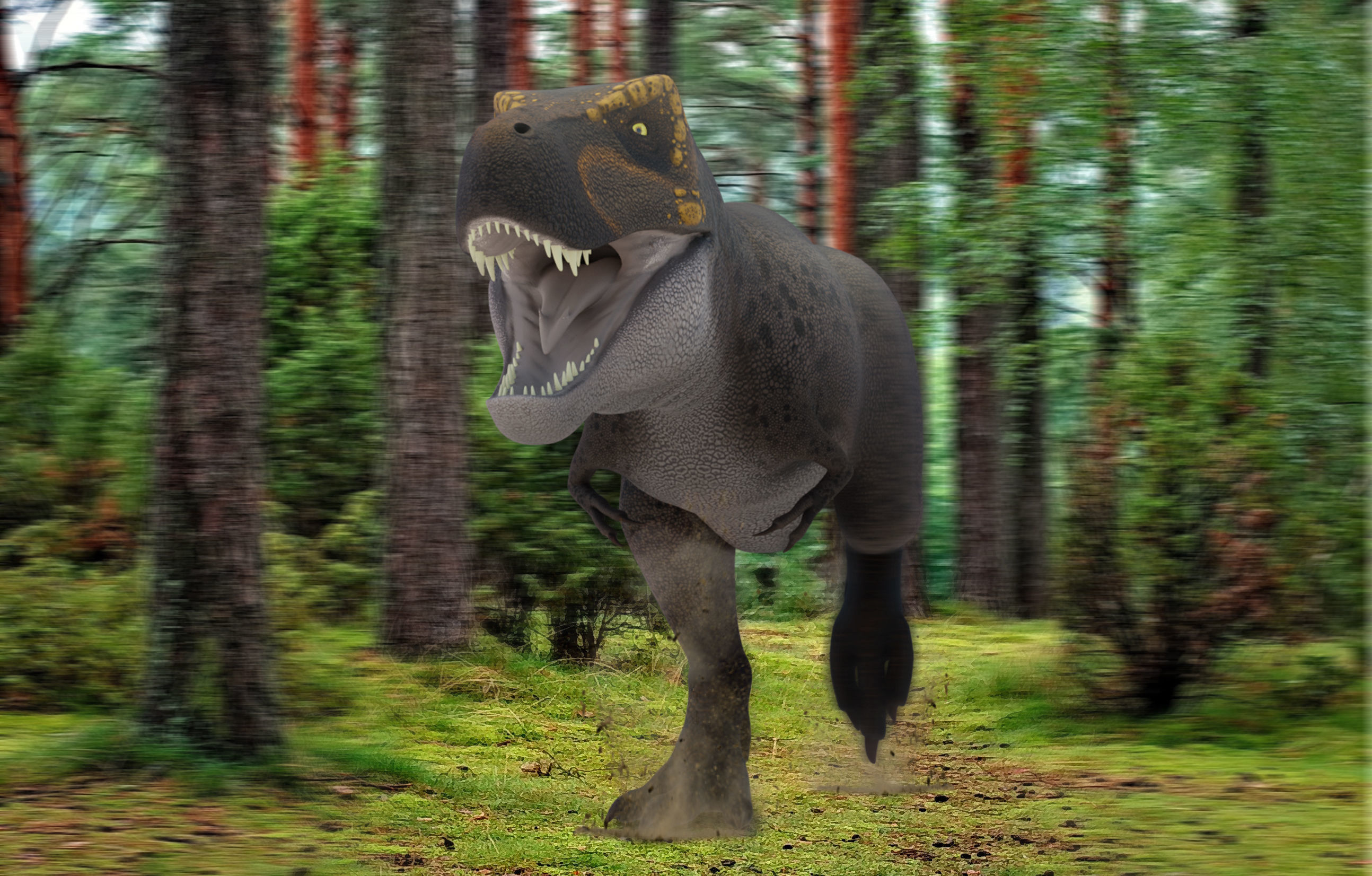 Tyrannosaurus rex Low-poly 3D model_1