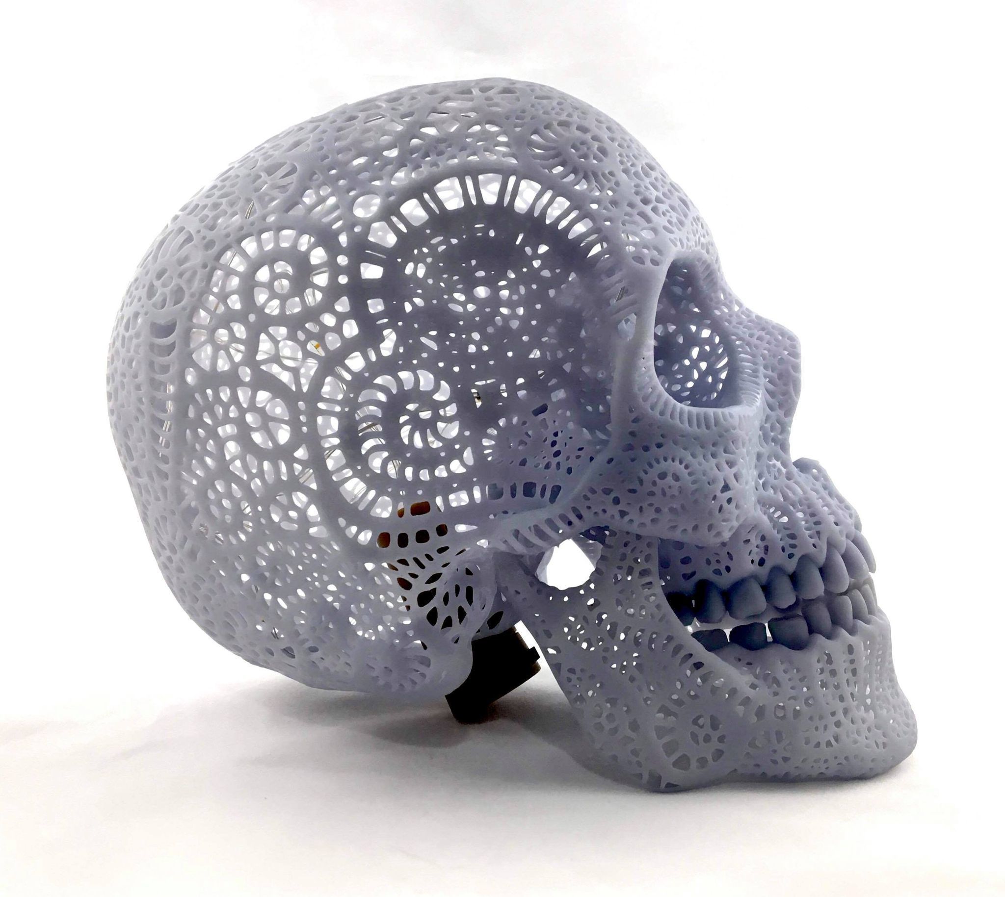 Filigree Anatomical Skull - Pre-supported STL 3D print model_10