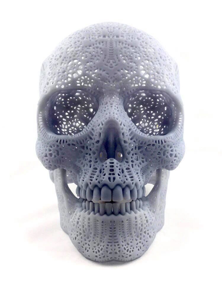 Filigree Anatomical Skull - Pre-supported STL 3D print model_9