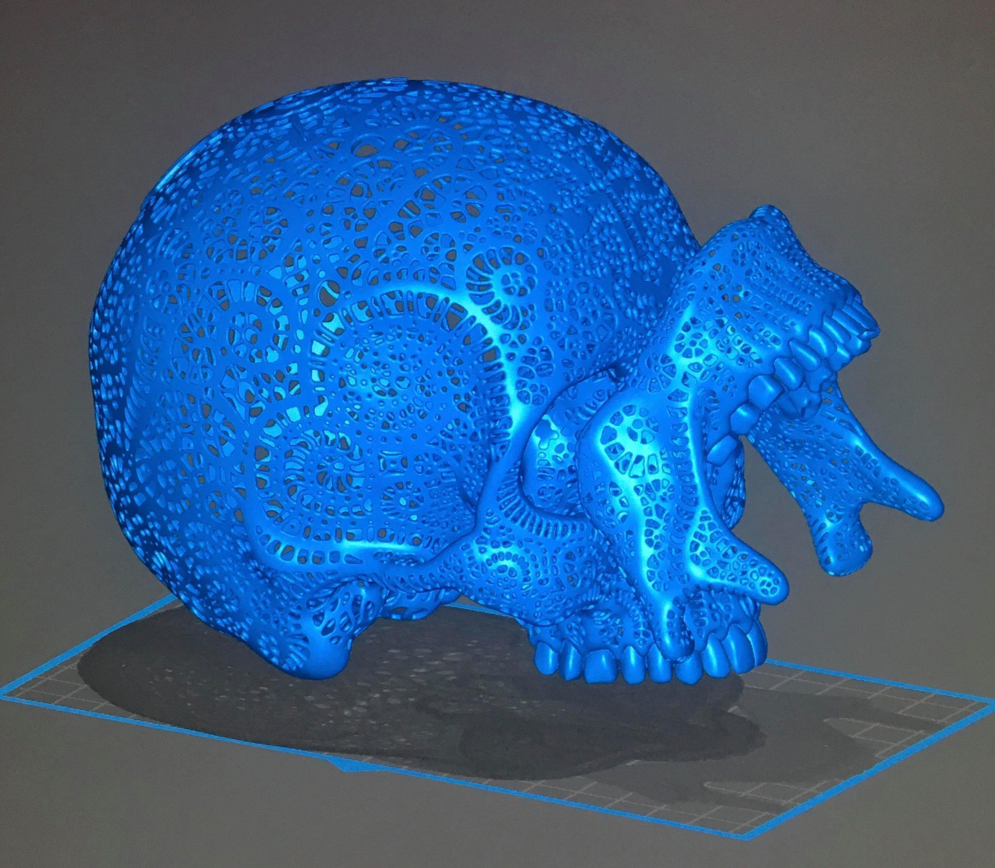 Filigree Anatomical Skull - Pre-supported STL 3D print model_15