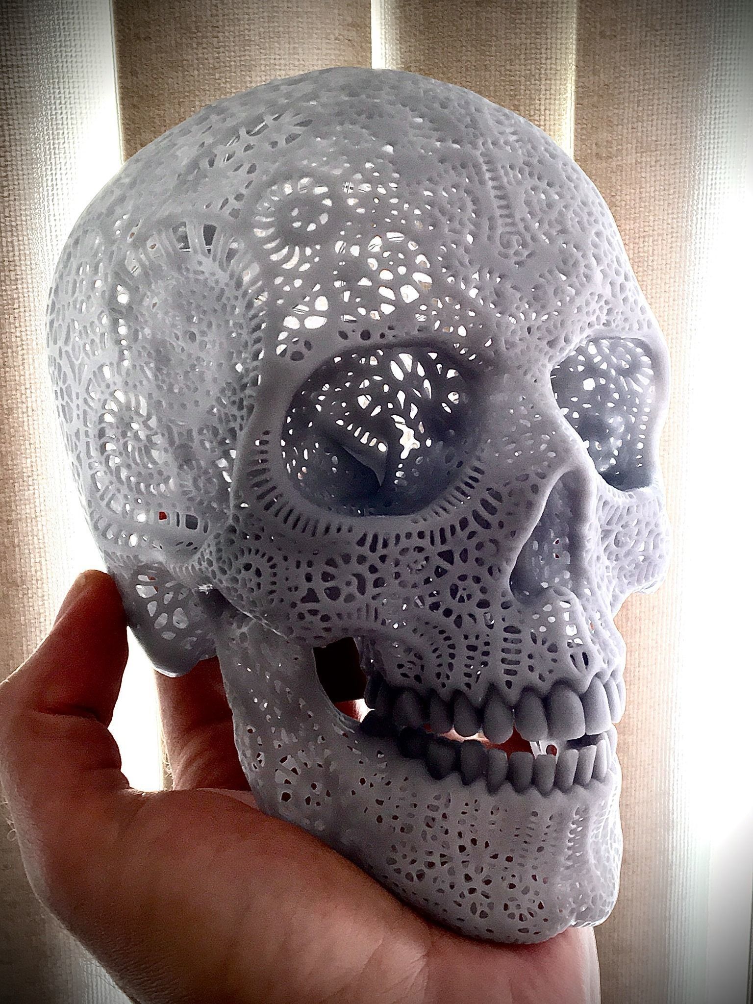 Filigree Anatomical Skull - Pre-supported STL 3D print model_3