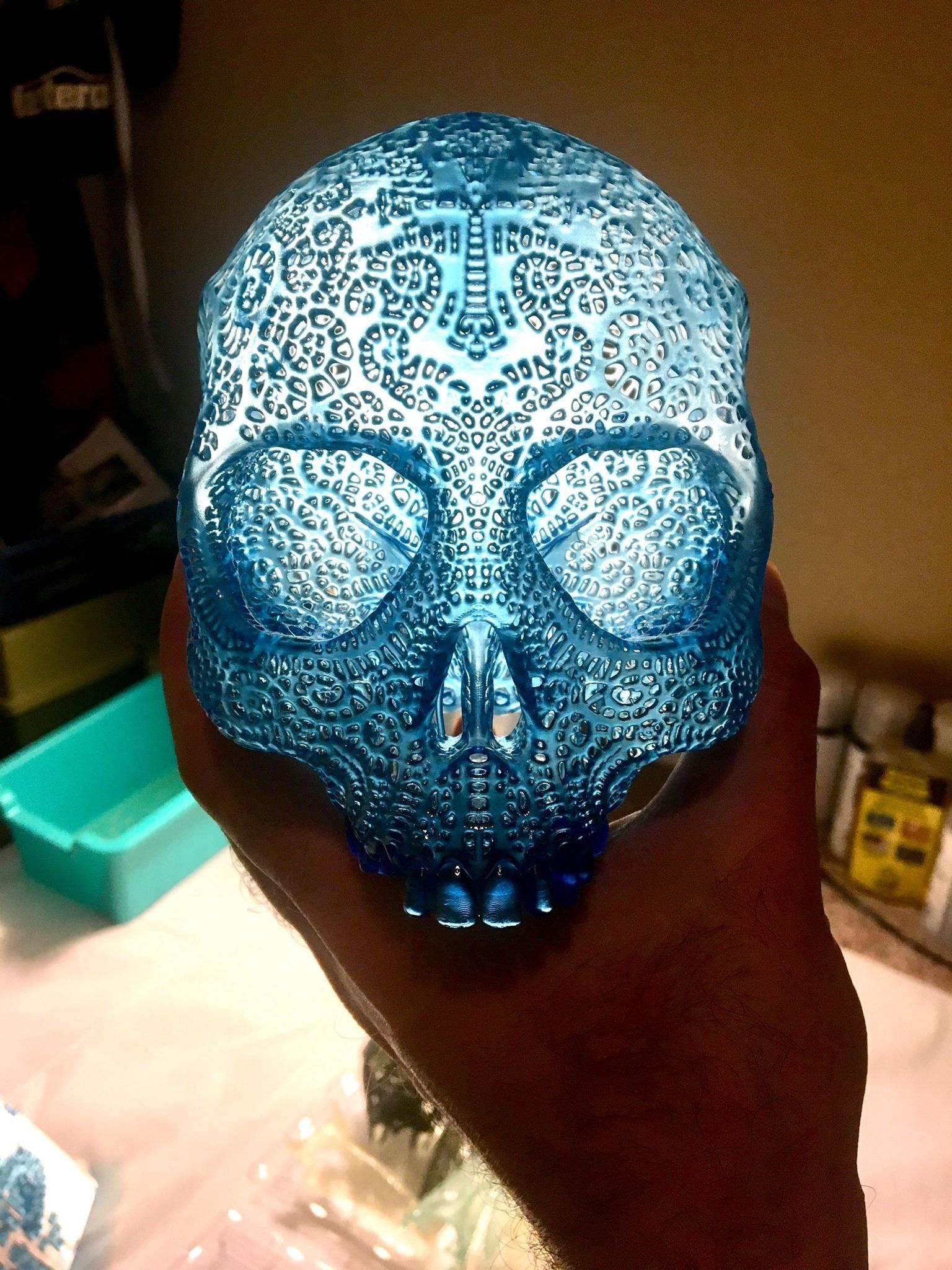 Filigree Anatomical Skull - Pre-supported STL 3D print model_8