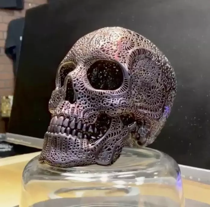 Filigree Anatomical Skull - Pre-supported STL 3D print model_0
