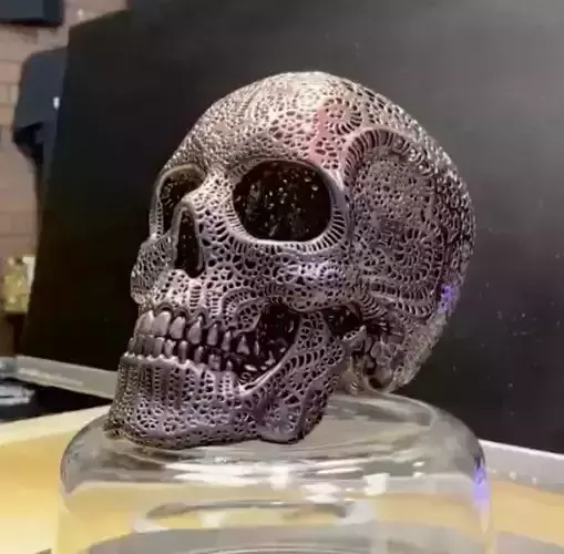 Filigree Anatomical Skull - Pre-supported STL 3D print model