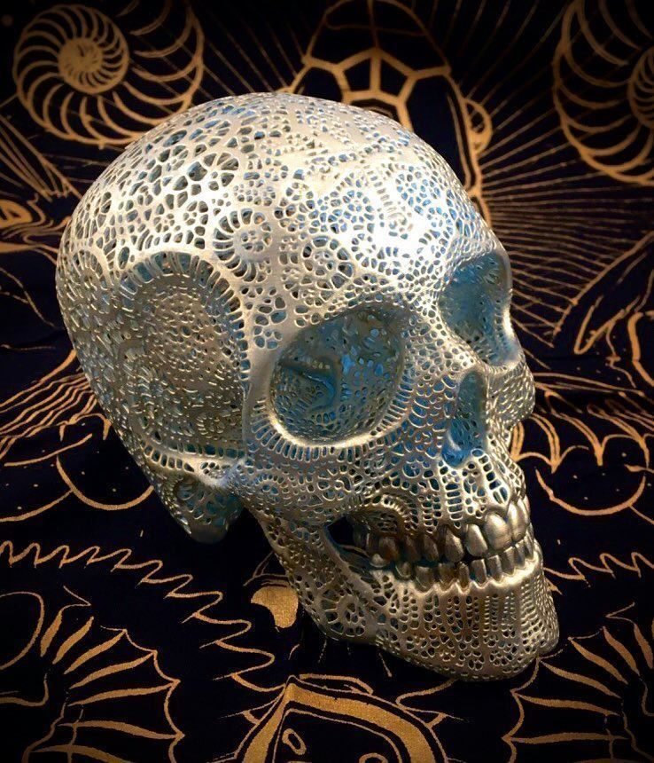 Filigree Anatomical Skull - Pre-supported STL 3D print model_4