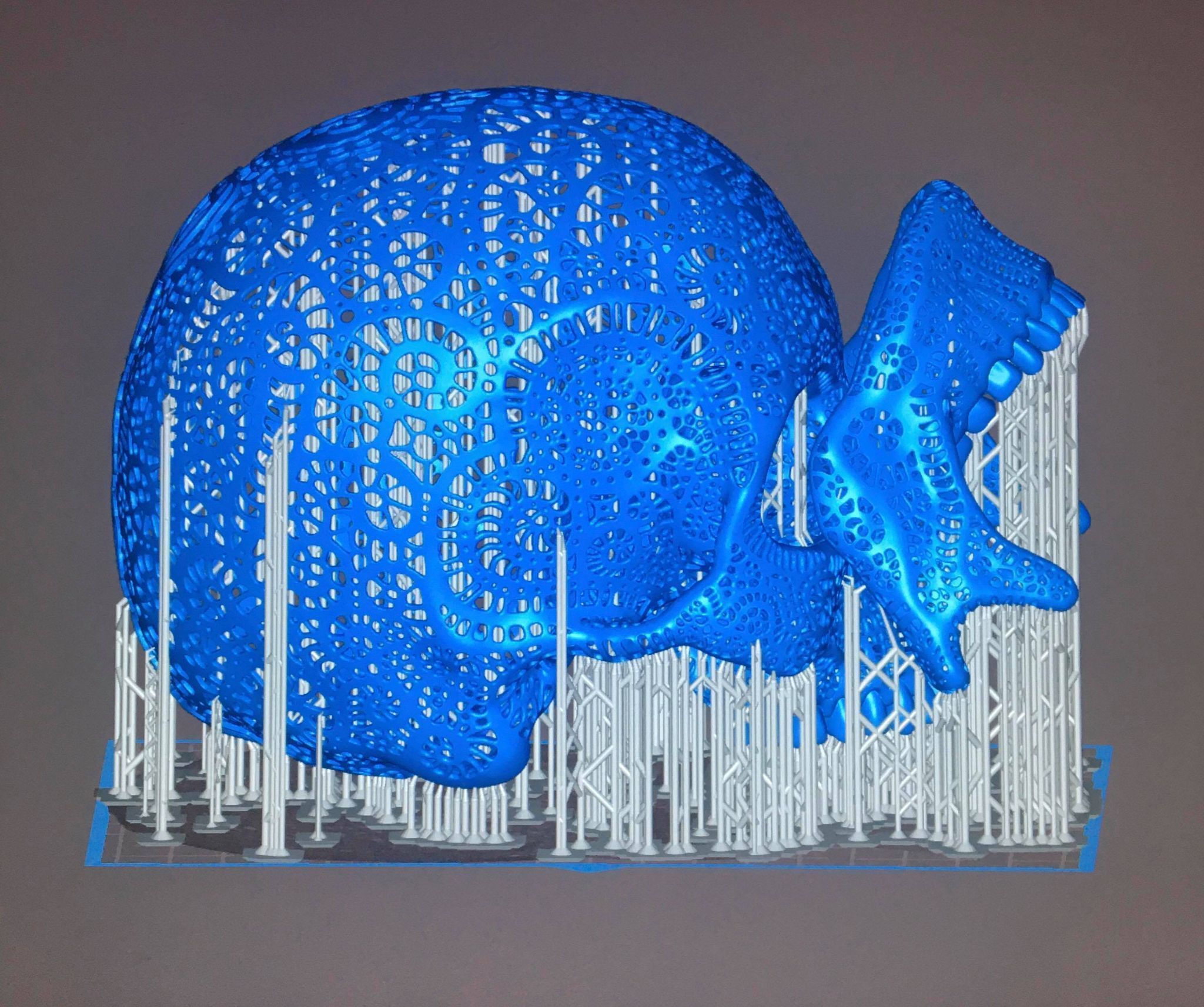 Filigree Anatomical Skull - Pre-supported STL 3D print model_13