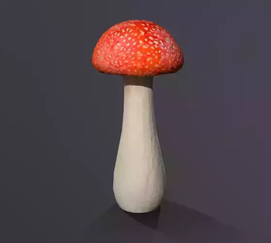 Mushroom Game Model and ZTL