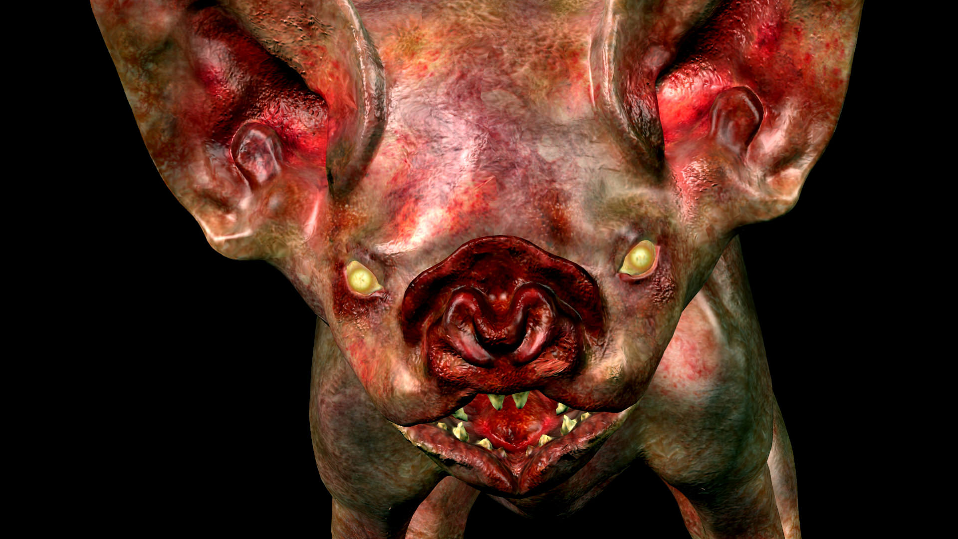 Vampire Cat 3D model_3