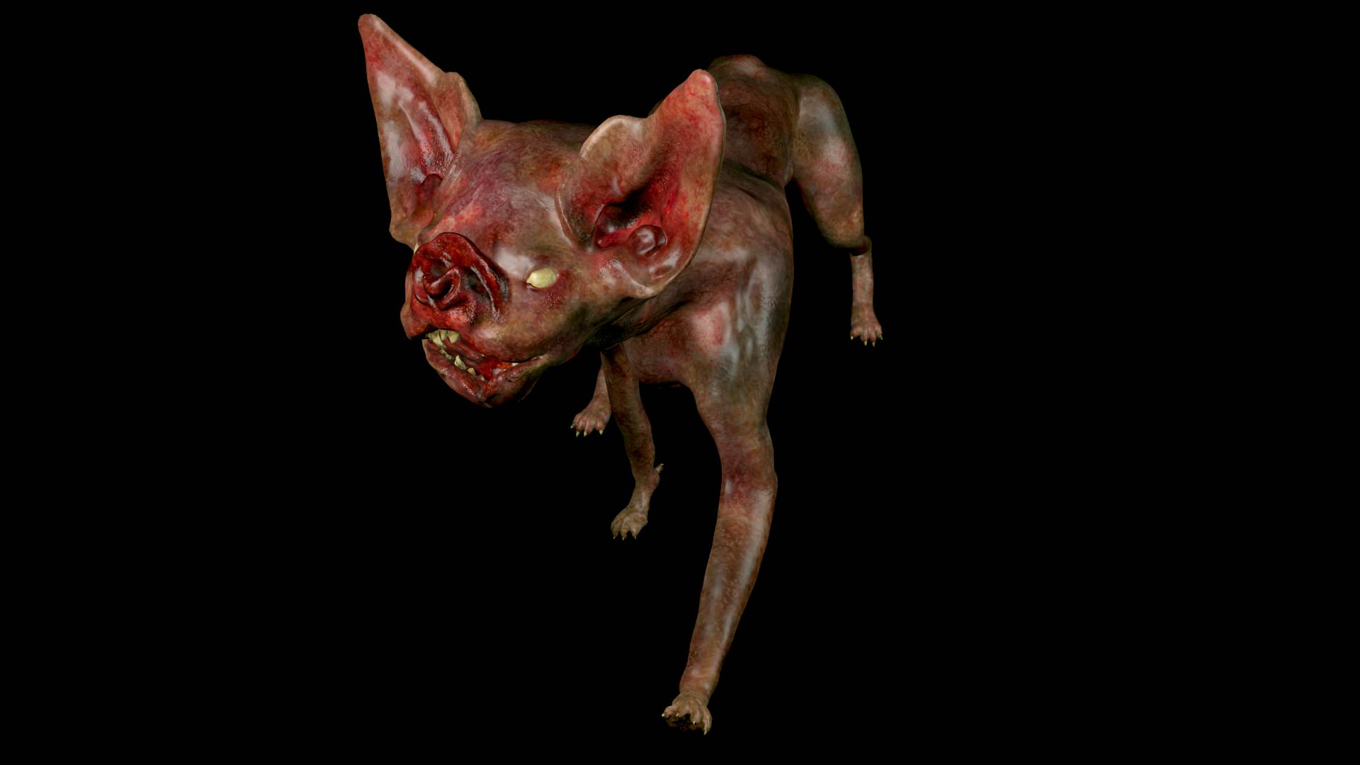 Vampire Cat 3D model_1