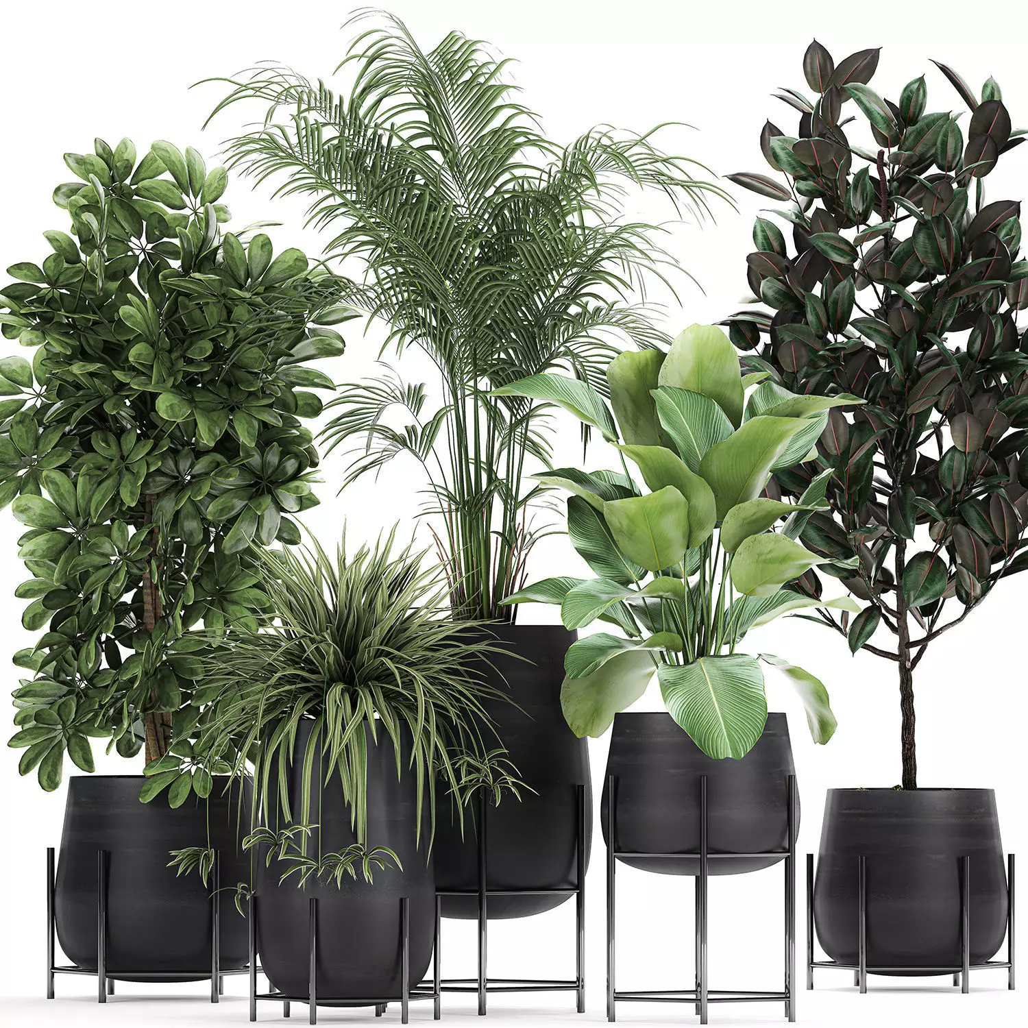 Collection of decorative plants in flowerpots 769 3D model