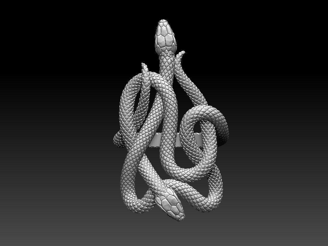 ring snake 3D print model_3
