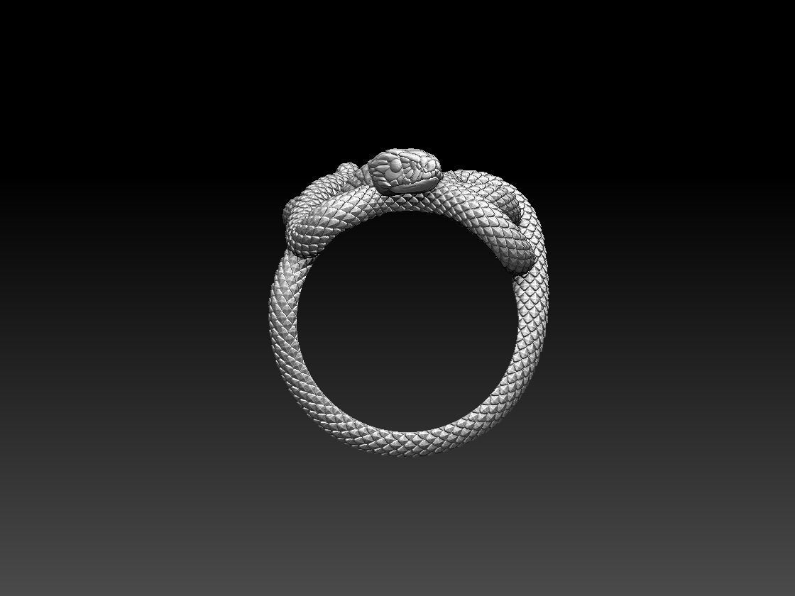 ring snake 3D print model_10