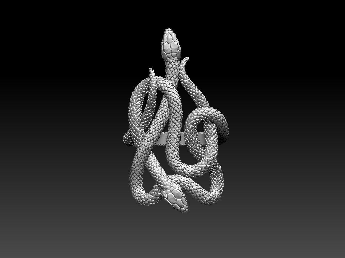 ring snake 3D print model_4