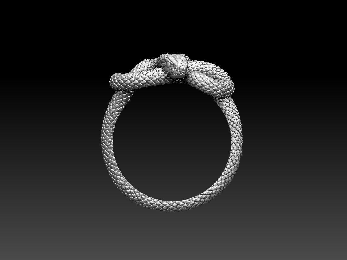 ring snake 3D print model_6