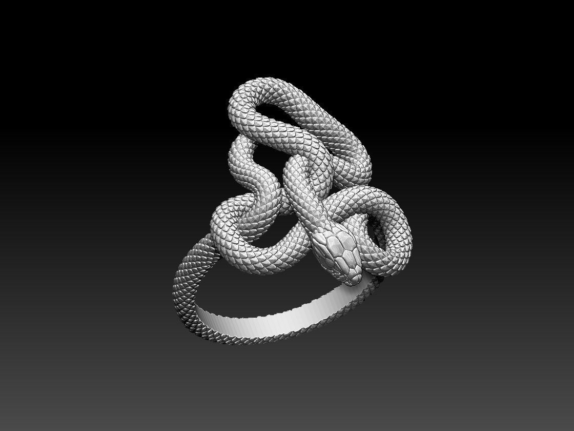 ring snake 3D print model_3