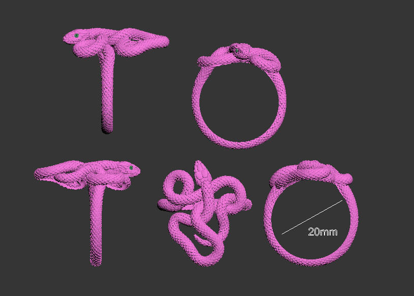 ring snake 3D print model_13