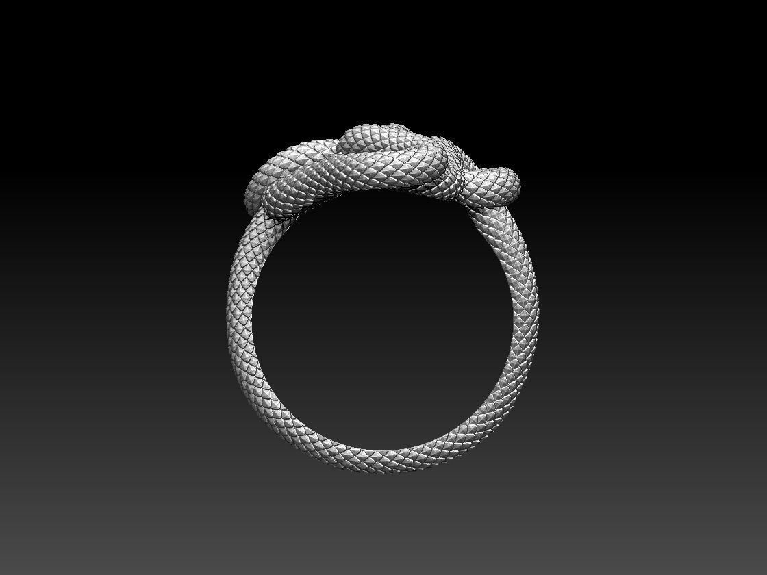 ring snake 3D print model_8