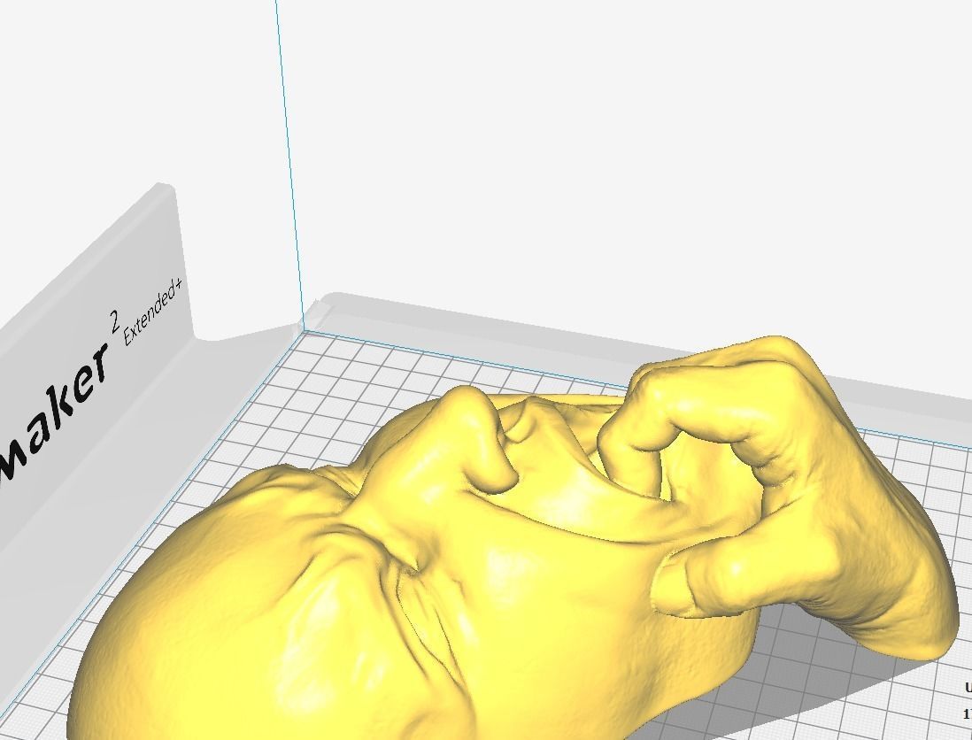 Human face in fear - Art piece 3D print model_4