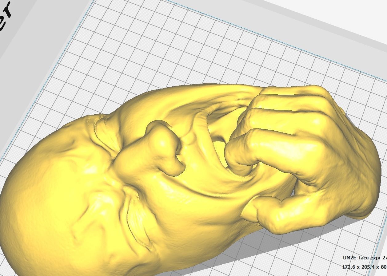 Human face in fear - Art piece 3D print model_5