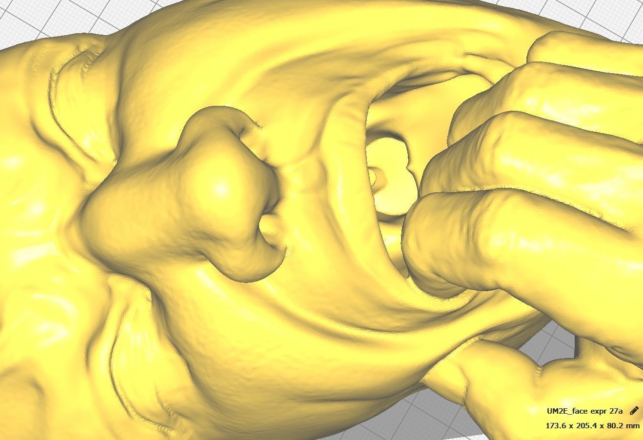 Human face in fear - Art piece 3D print model_6