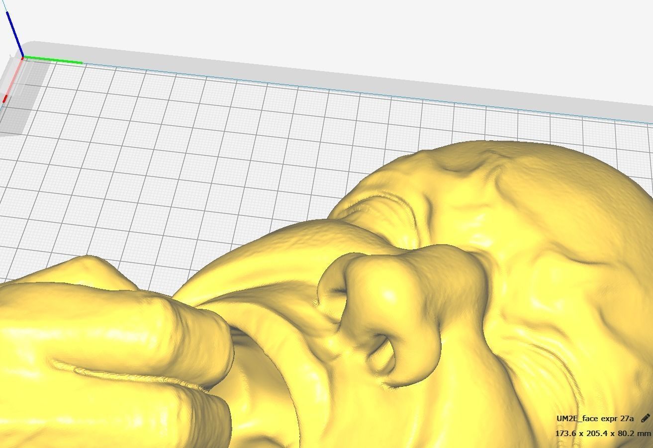 Human face in fear - Art piece 3D print model_7