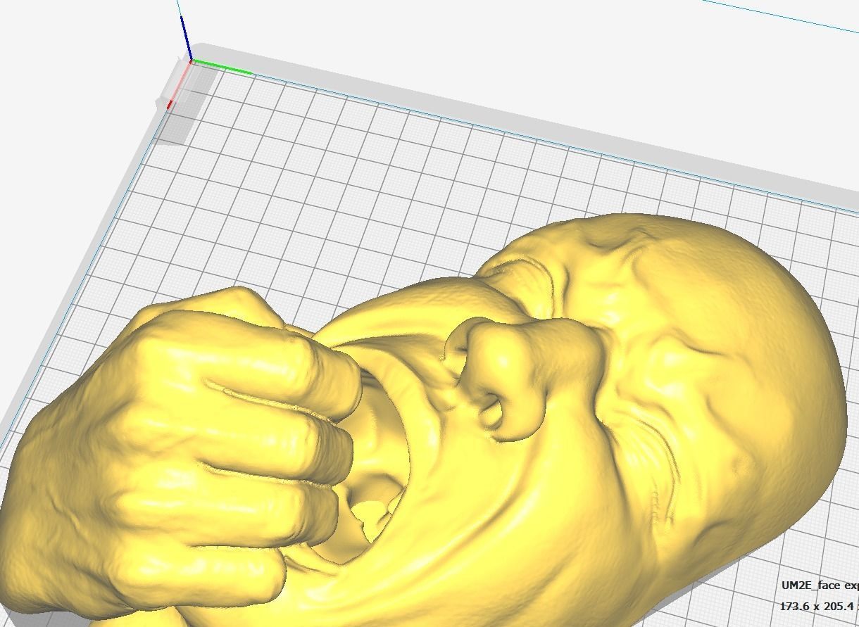 Human face in fear - Art piece 3D print model_1