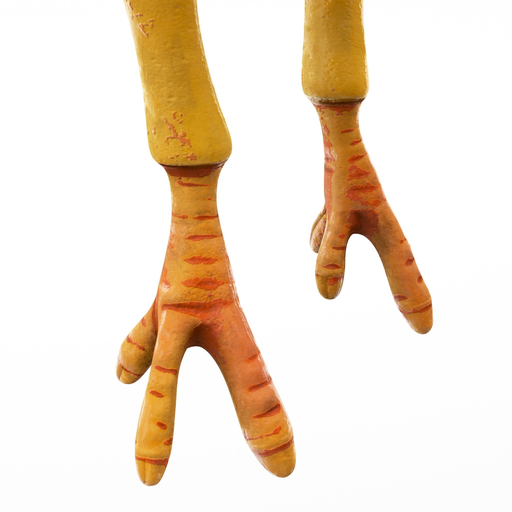 Chicken cartoon rigged low poly Low-poly 3D model_4