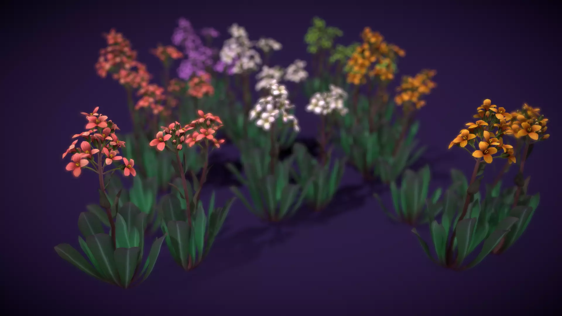 3D model Flower Daggerpod VR / AR / low-poly | CGTrader