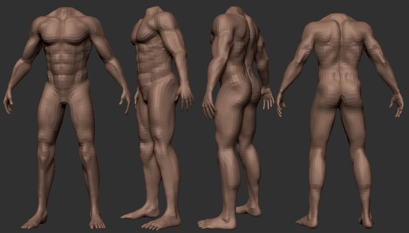 Male Body Anatomy Base Model Vol1 Low-poly 3D model_7