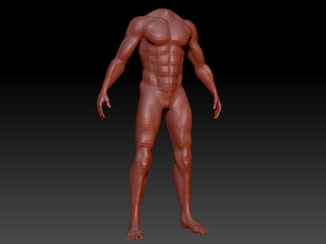 Male Body Anatomy Base Model Vol1 Low-poly 3D model_5