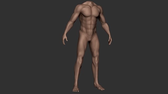 Male Body Anatomy Base Model Vol1 Low-poly 3D model