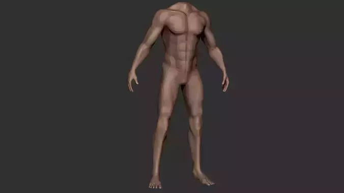 Male Body Anatomy Base Model Vol1 Low-poly 3D model