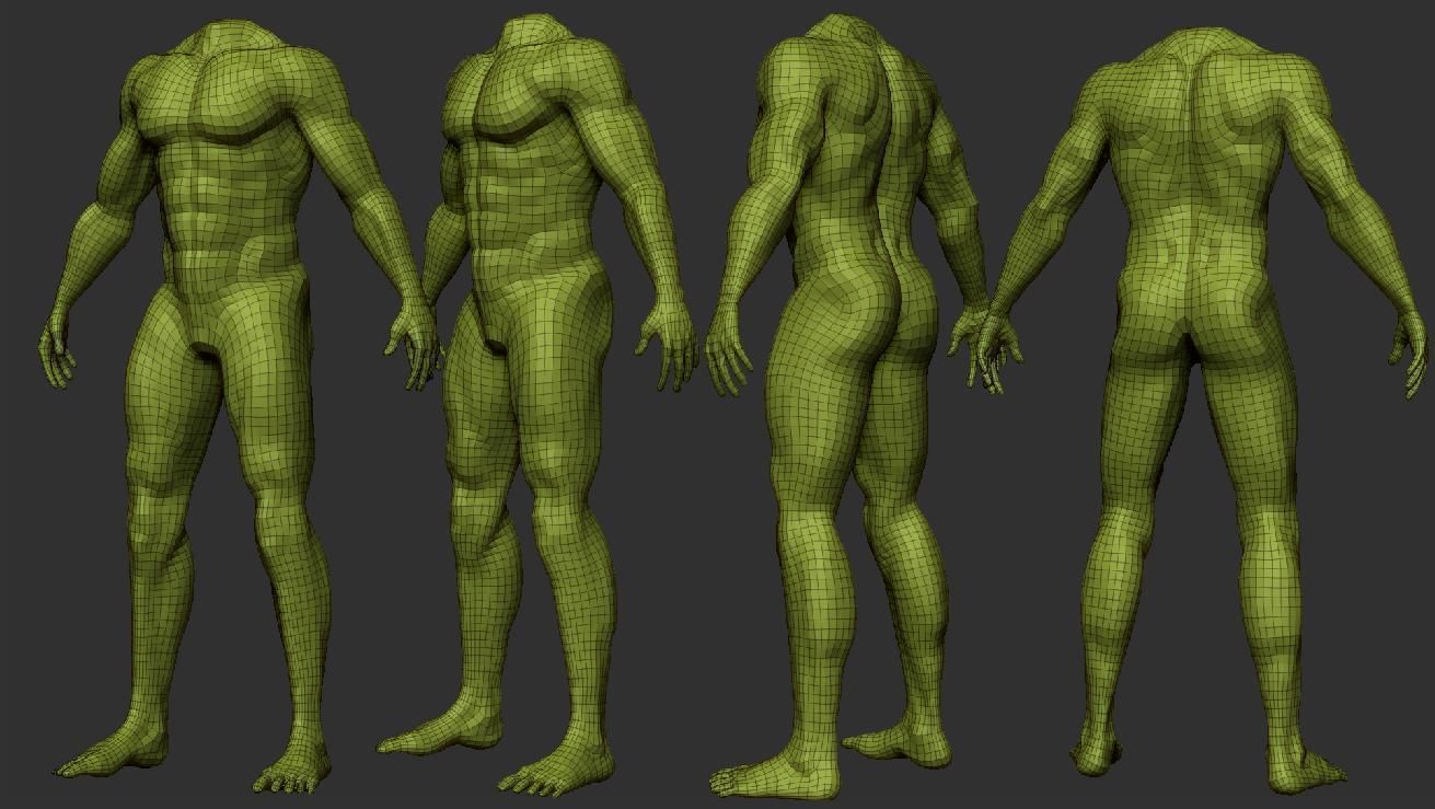 Male Body Anatomy Base Model Vol1 Low-poly 3D model_6