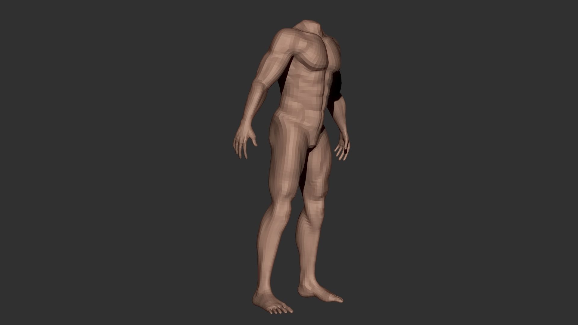 Male Body Anatomy Base Model Vol1 Low-poly 3D model_2