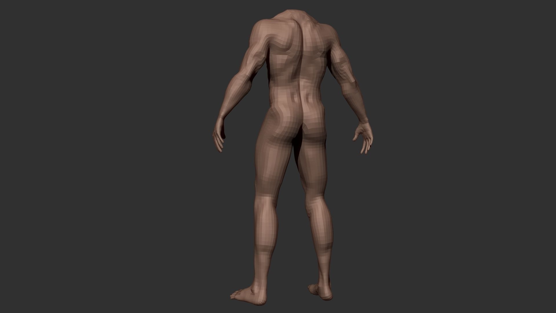 Male Body Anatomy Base Model Vol1 Low-poly 3D model_3