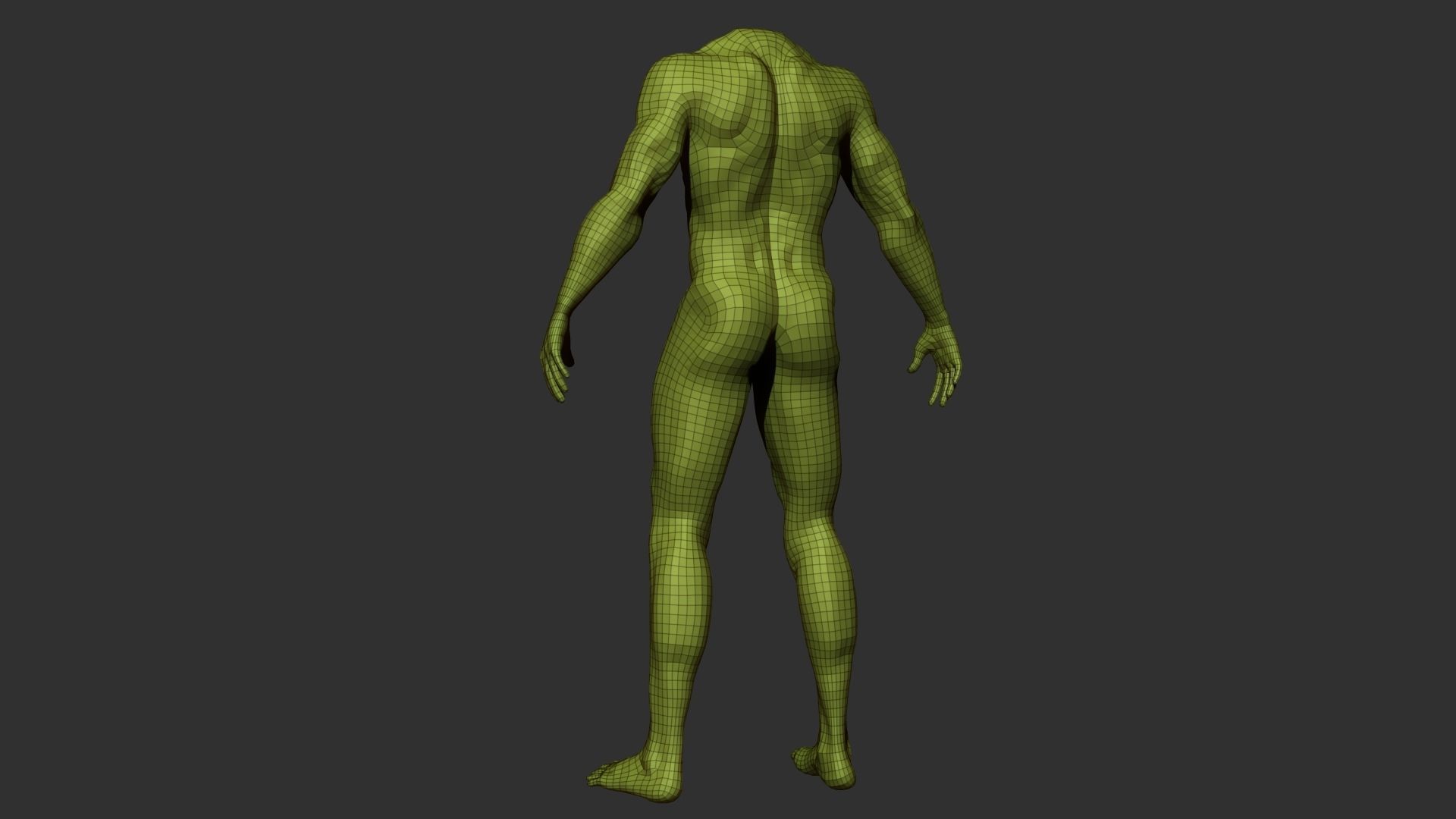 Male Body Anatomy Base Model Vol1 Low-poly 3D model_4