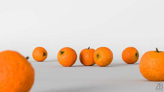 Clementine 3D model