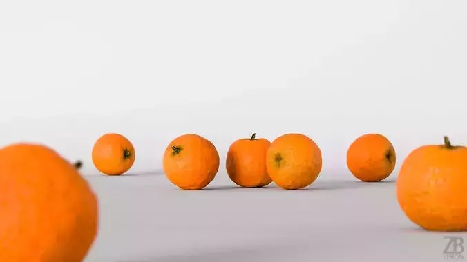 Clementine 3D model