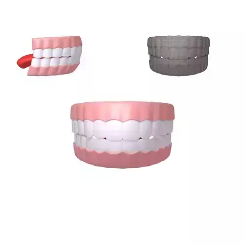 Human Mouth 02 Teeth Cartoon 3D model