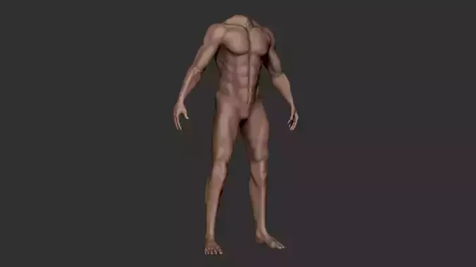 Male Body Anatomy HighPoly Base Model Vol2