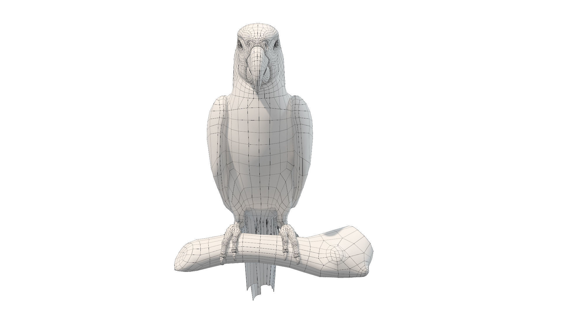 Blue and Gold Macaw Low-poly 3D model_8