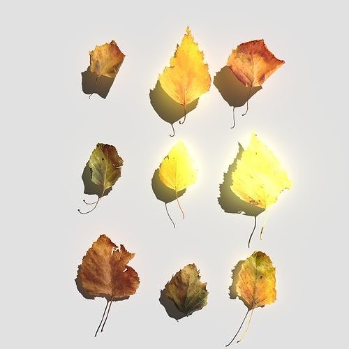 Dry Birch Leaves Pack Low-poly 3D model