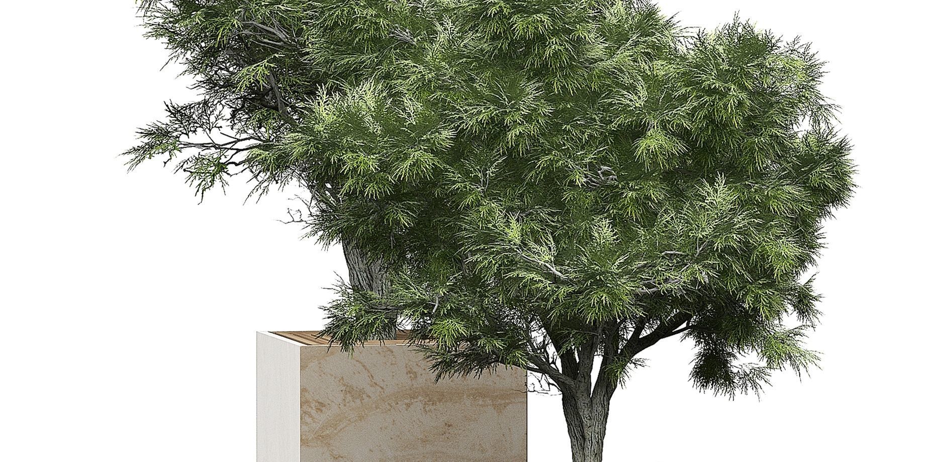 Flower Pack 154 3D model_2