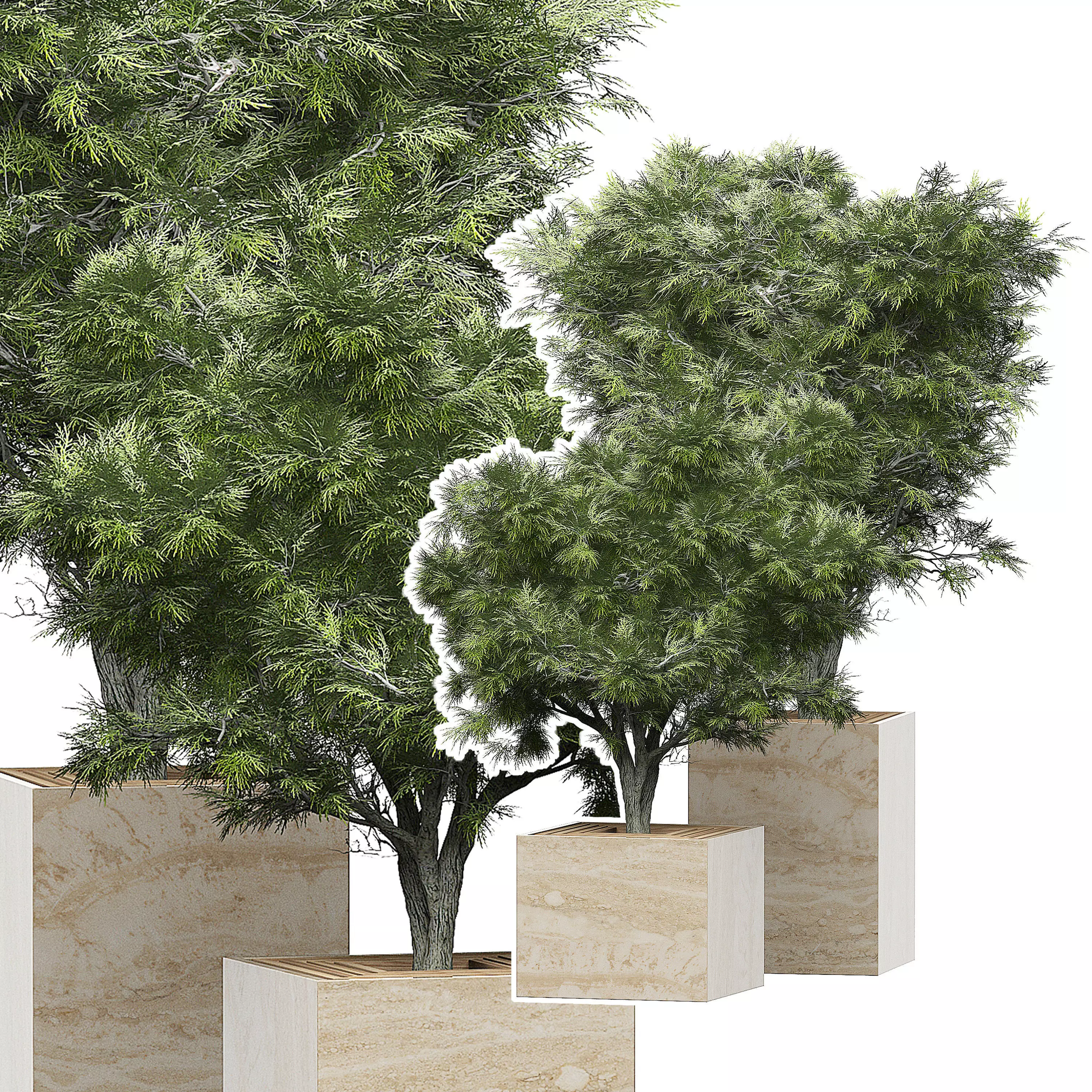 Flower Pack 154 3D model_0