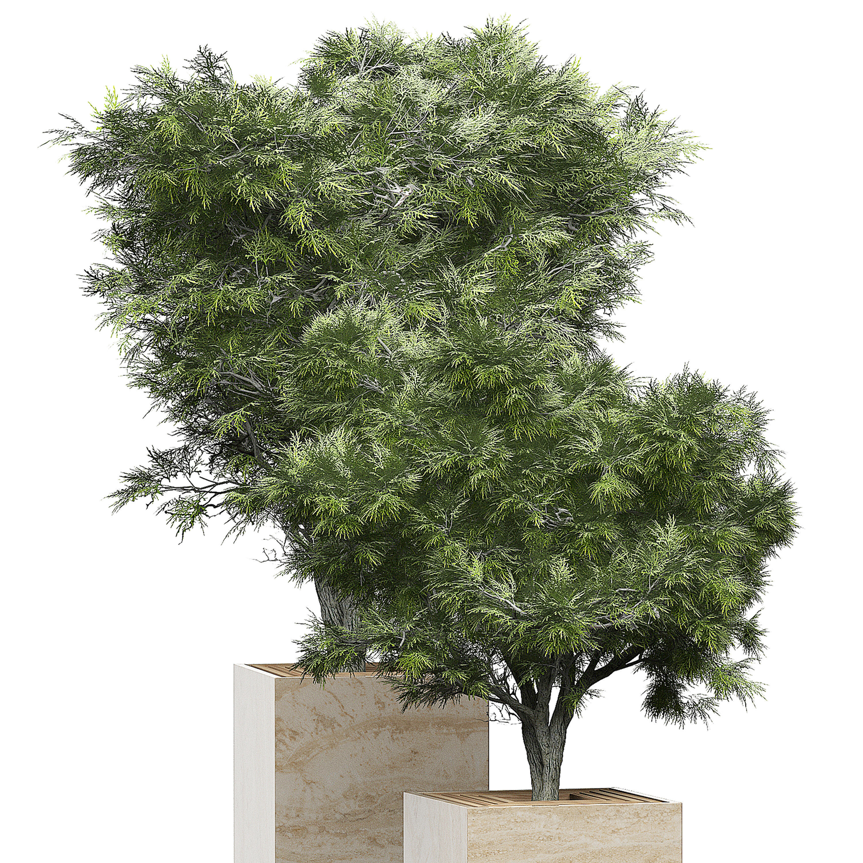 Flower Pack 154 3D model_1