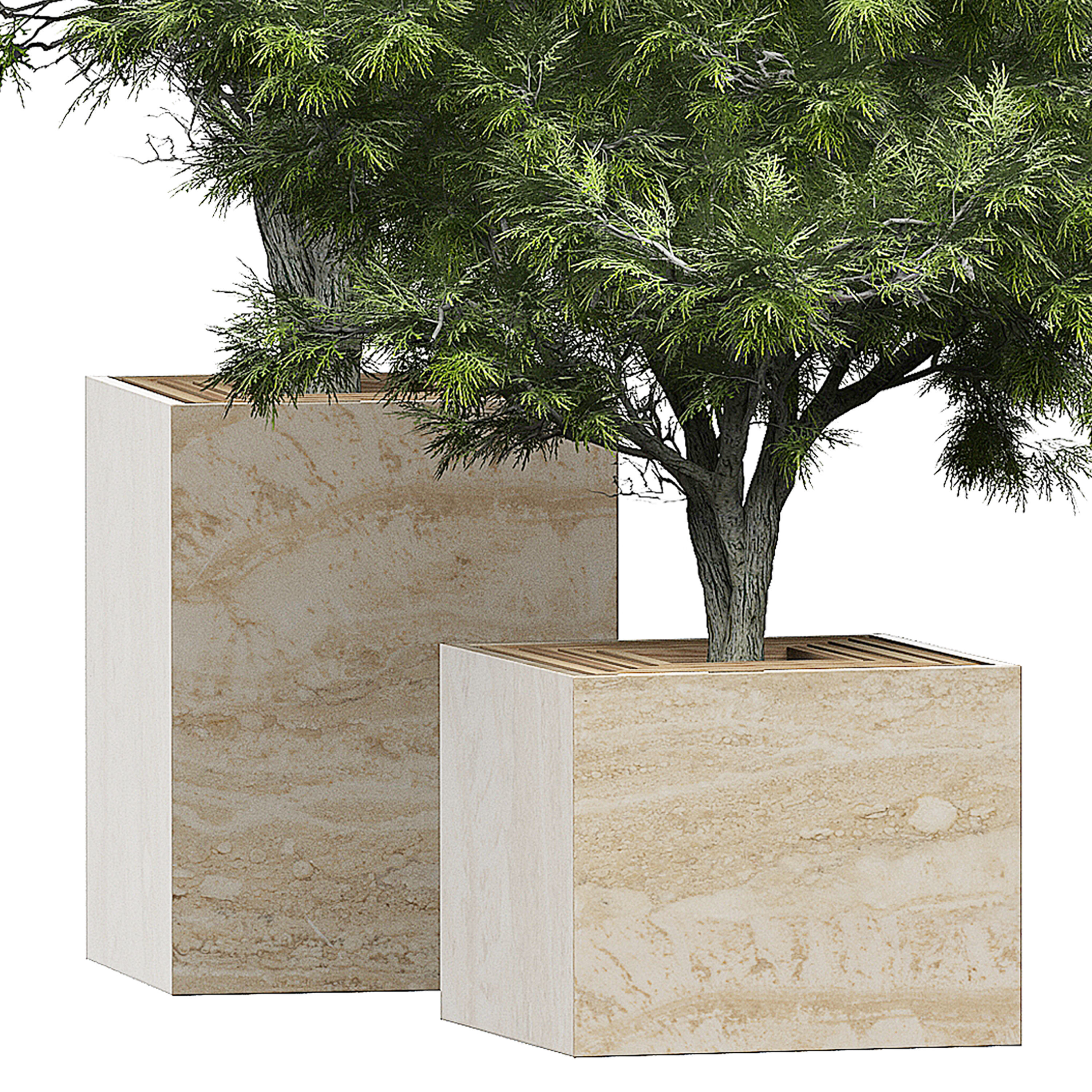 Flower Pack 154 3D model_3