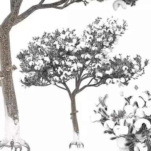 Pine 8 tree 3D model