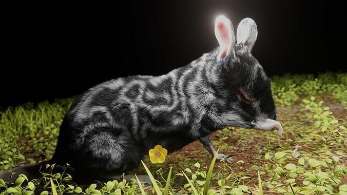 realistic animated and textured mouse 3D model